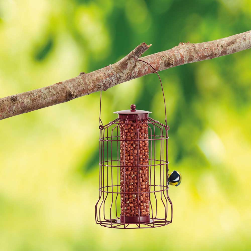 Image of Nature?s Market Nut Feeder with Squirrel Guard